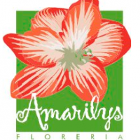 Amarilys Florería