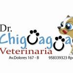 Dr. Chiguagua