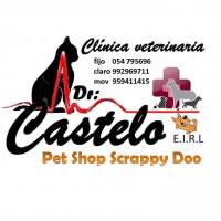 Clínicas veterinarias Castelo